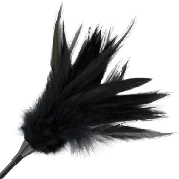 DARKNESS - BLACK FEATHER WHIP 3